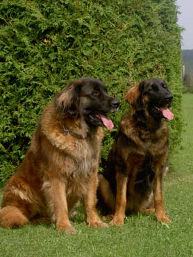 Mama Lilly und Joy